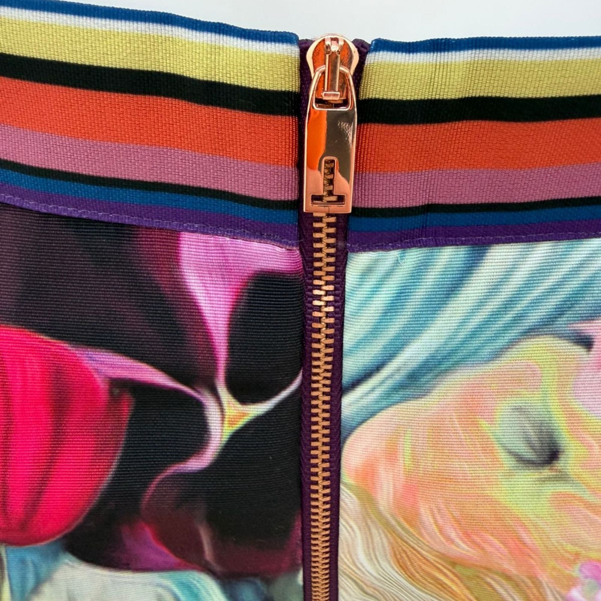 Ted Baker floral skirt (size 2/small EUR)